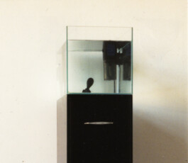 Markus Schwander