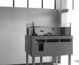 Markus Schwander